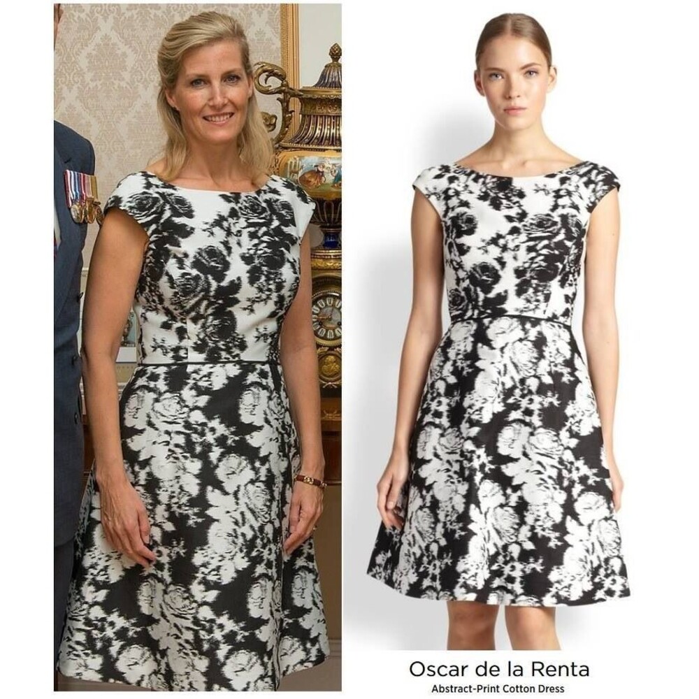 Oscar de la Renta Printed Cotton-twill Dress Size: XL | US 14